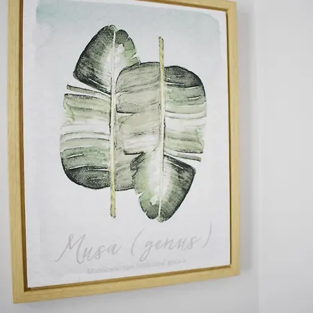 Flora Отель Каттолика